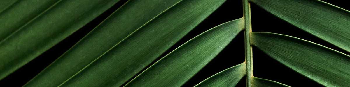 Bienvenue sur Life.nc