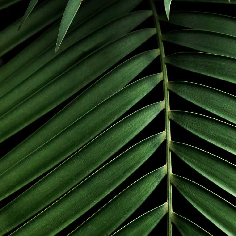 Bienvenue sur Life.nc