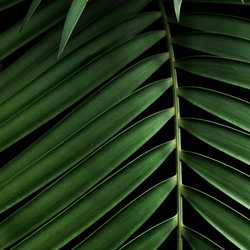 Bienvenue sur Life.nc